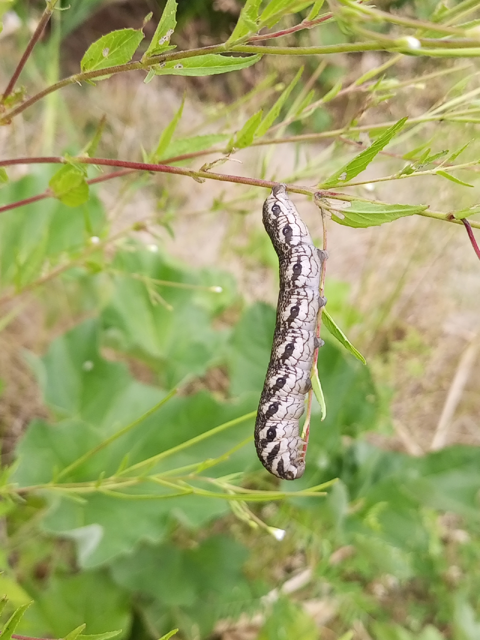 Фотоконкурс - 2025!